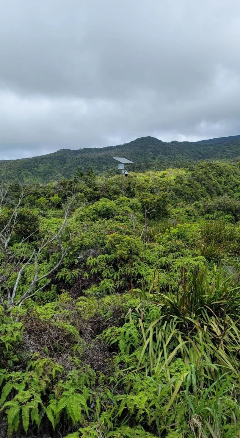 customer photo of Mars Energy Corp